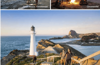 Free Download: Explore New Zealand with This Beautiful Touring Map!