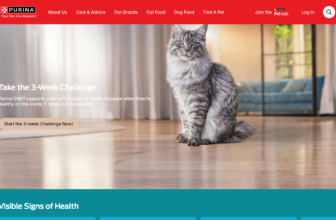 Get $10 Off Purina One Cat Food with 3-Week Challenge!