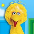 bigbird