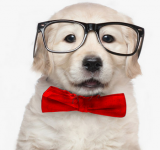 Firmoo Free Lenses