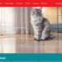 Get $10 Off Purina One Dog Food with 3 Week Challenge!